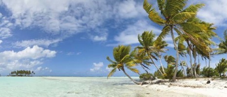 21es Journées de Chirurgie Dentaire à l'île Maurice