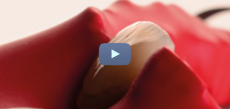 Replay Journée « Les céramiques : mode d'emploi »