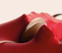 Céramiques : mode d'emploi