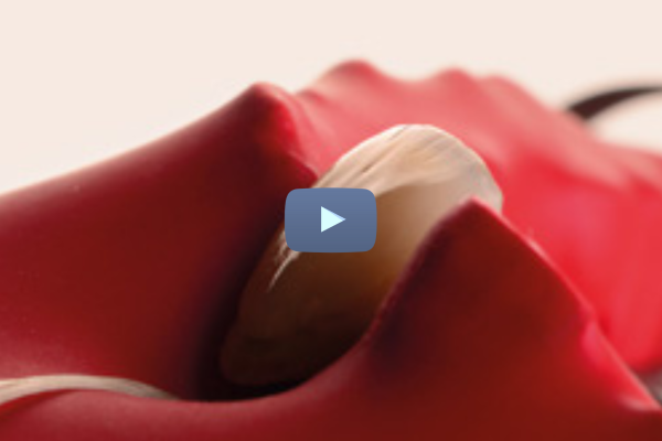 Replay Journée « Les céramiques : mode d'emploi »